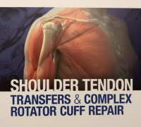 Dr. Daniel Rojas junto a sus Profesores en Clínica Mayo, Rochester, USA.